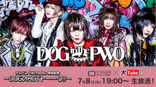 『アルバムHOTDOG完成記念～DOGのHOTトーーク!!～』