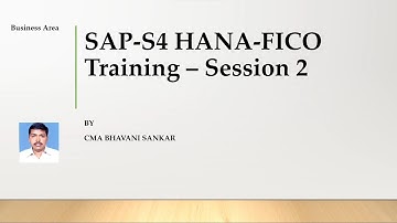 Business Area in SAP S4 HANA Finance