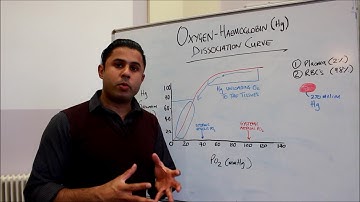 The Oxygen Haemaglobin Dissociation Curve