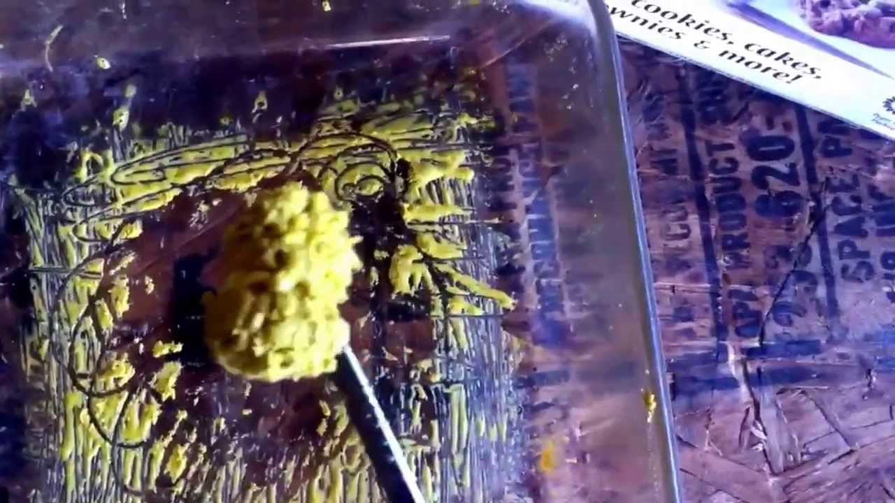 The true crumble from dab labs by Devine farms