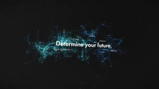 White Rabbit Intel: Your Data Tells A Story
