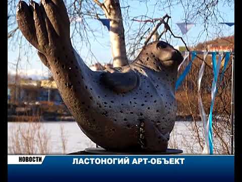 Новости Камчатки за 11 декабря 2017