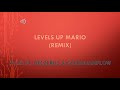 LEVELS UP MARIO REMIX Avicii FT DEEZERUZ GOLDJUANFLOW 