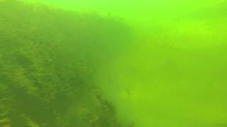 scuba2