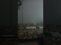 الجزائر فلسطين صهيب الجماعيني