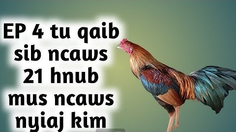 EP 4 vib thi tu qaib sib ncaws 21 hnub mus ncaws tau nyiaj kim tus xuj 1
