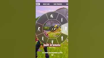 Fortnite Emotes Are Confusing...