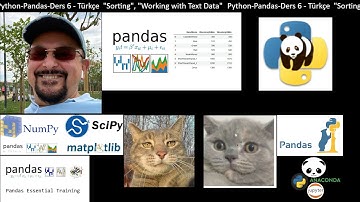 Python Pandas Modülü Anlatımı - Ders 6 Sort (Tasnif) Metotları Örnekler