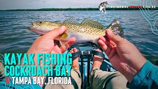 Kayak Fishing Cockroach Bay | Tampa Bay, FL Fishing