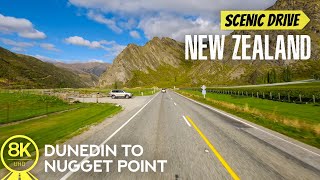 8K Scenic Roads in New Zealand - Summer Trip with Amazing Views from Dunedin to Nugget Point