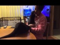 カワウソ劇場 おねだりσ^_^;