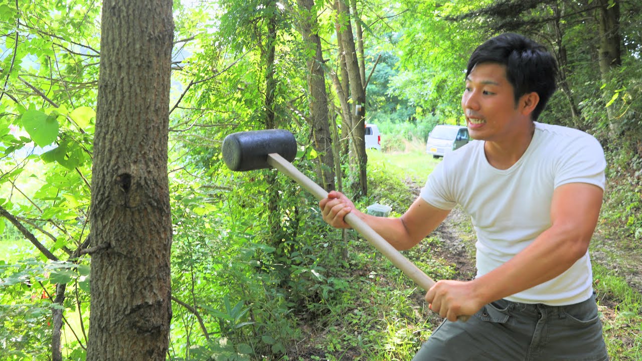 クワガタだらけの森の木をハンマーで叩くと・・・！