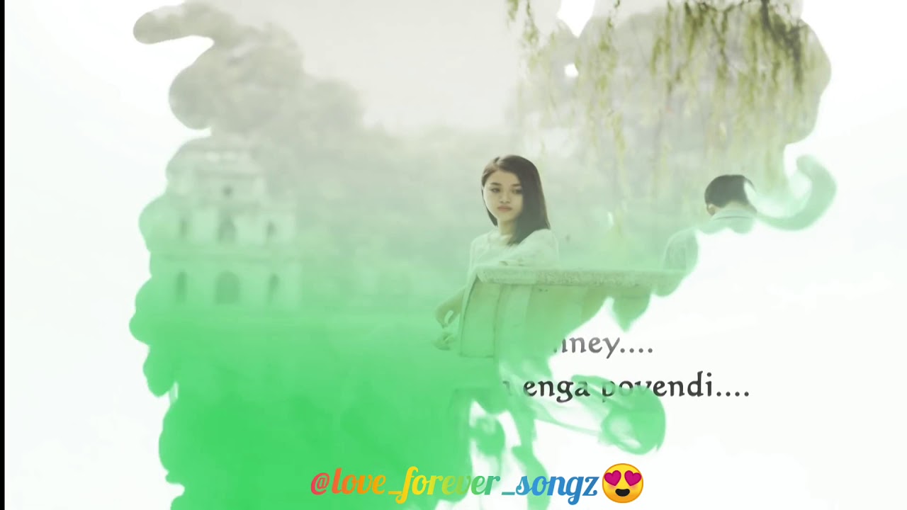 Pogaathadi En Pennae A Tamil Album Song Jinglee Love Forever Songz Whatsapp Status Youtube pogaathadi en pennae a tamil album