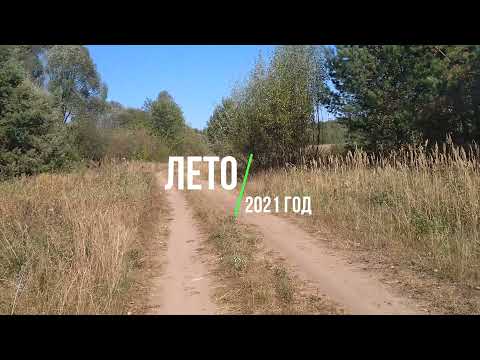 Лето 2021. Рыбалка