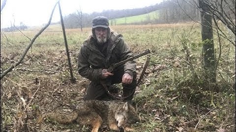 Fence Line Snares for Coyote
