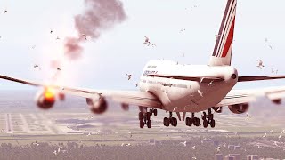 B747 Birdstrike During Landing [XP11] by airddiction 2,729 views 3 months ago 2 minutes, 40 seconds