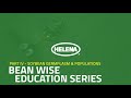 Bean Wise Education Series Part IV - Soybean Germplasm & Populations