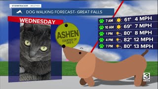 Dog-walking forecast (July 30, 2025)