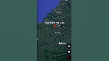 MAXWELL CAT ON GOOGLE EARTH AND GOOGLE MAP #shortsfeed #shorts