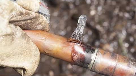 WaterCop Automatic Water Shutoff Systems