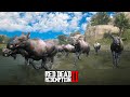 MIGRAÇÃO DE ALCES (MOOSE) - Red Dead Redemption 2