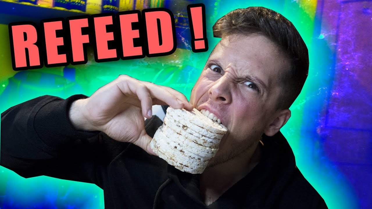 #RUMOAOSPALCOS│DIA DE REFEED ! ◤2WeeksOut◥