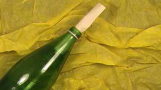 Botted Up - CSSSA Animation 2009