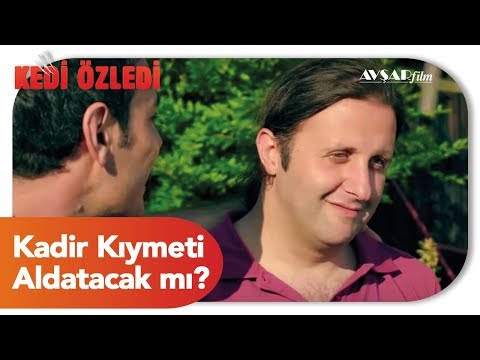 Kadir Kıymeti Aldatacak mı? (Kedi Özledi Film)