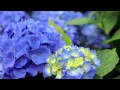 愛するきみへ