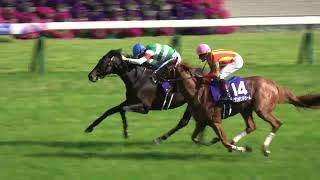 へデントール　メイクデビュー東京　現地単勝馬券　天皇賞・春制覇 へデントール メイクデビュー東京 現地単勝馬券 天皇賞・春制覇