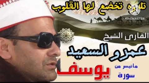 الشيخ عمرو السعيد يتألق بصوته الجميل ما تيسر من سوره يوسف  رائعه امسيه دينيه