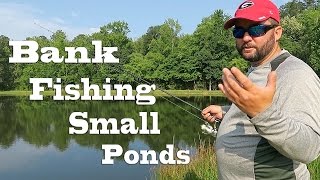 Bank Fishing  How to Fish Small Ponds in the Summer