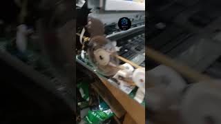 Epson L8050 printhead alignment issues? Our expert step-by-step repair