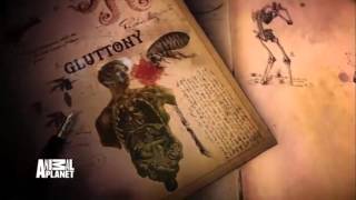 Richard E  Grant s 7 Deadly Sins   Animal Planet
