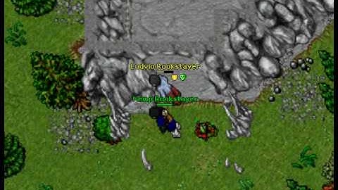 Tibia/Antica - Nemp Roostayer using bot