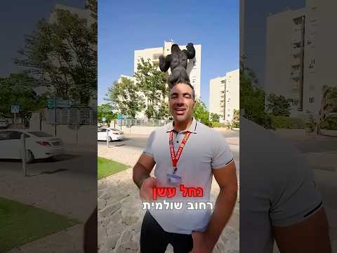 דירה רגילה