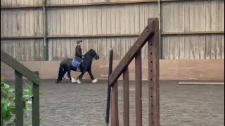 Ad ref 274751   Video 2