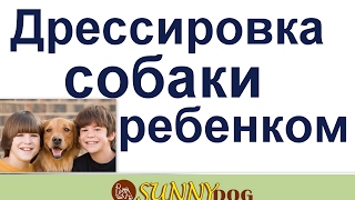 начало занятий ребенок и собака Дрессировка собаки ребенком начало занятий ребенок и собака Дрессировка собаки ребенком