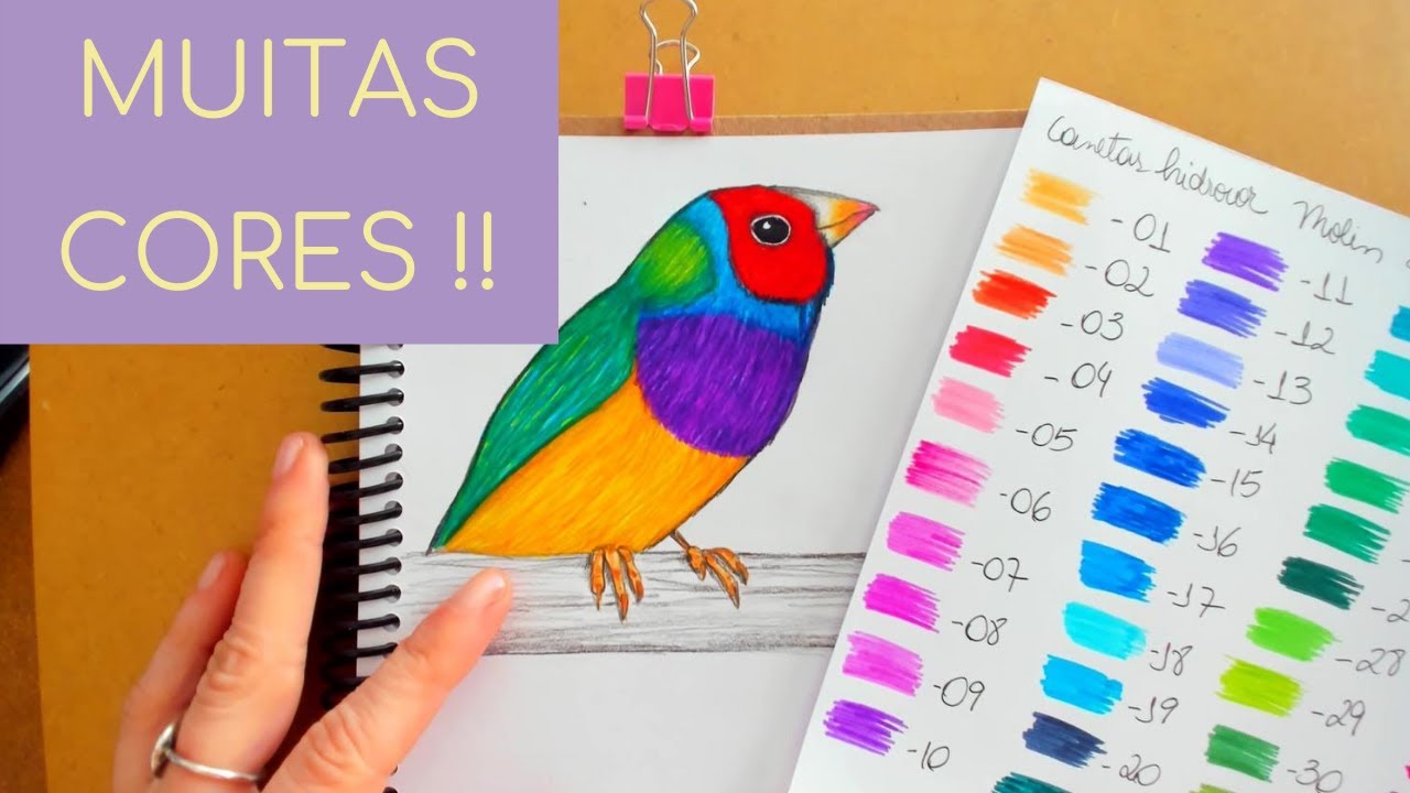 Desenhando com as Canetas Hidrocor Linha Artística da Molin!