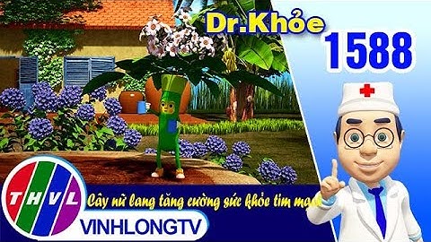 Dr. Khỏe - Tập 1588: Cây nữ lang tăng cường sức khỏe tim mạch | THVL