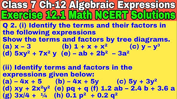 Class 7 Ex-12.1 Q 2 | Algebraic Expressions | Chapter 12 | Exercise 12.1 | Math NCERT Solutions