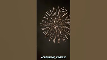 6 Inch Brocade Crown! #pyro #vuurwerk #fireworks #shell