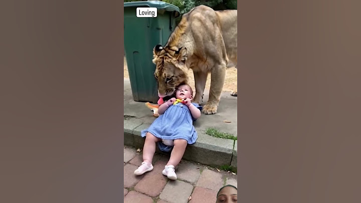 Sher chhoti bacchi ko Ghar se utha laya #tiger #lionking #animals #lion #ytshorts  #viralvideo