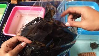 Unboxing Tas Dada, Mulus Tak Perlu Pengajuan Komplain