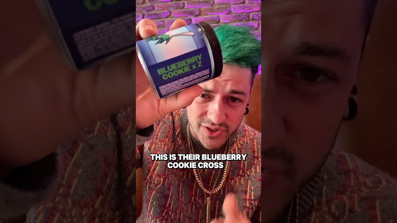 Blueberry Cookies X Z.. is it any good?