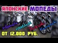 Японские мопеды от 12.000 руб! Покупаем мотоцикл подписчику!