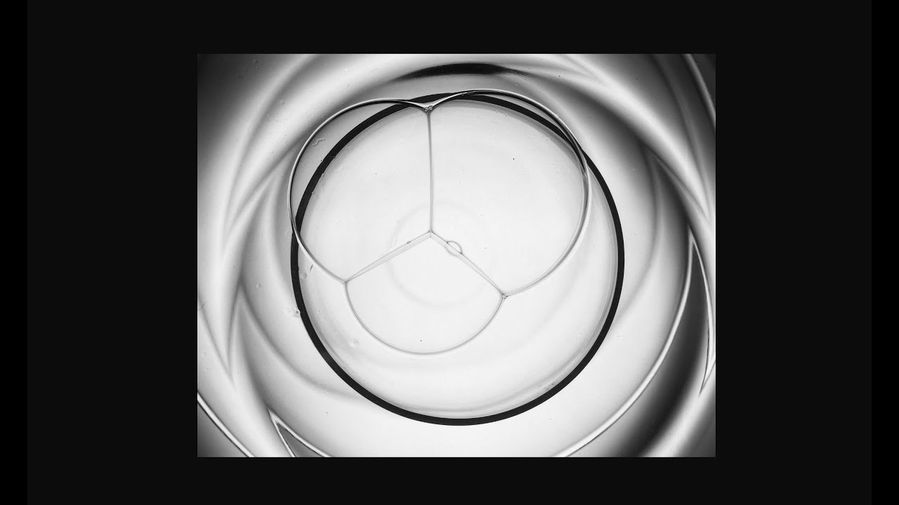 Fine Art Photography  Ambiguity