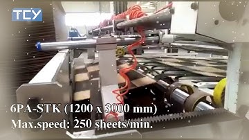 TCY Flexo 1230 Speed 250