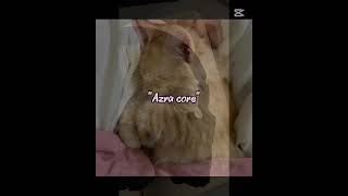 Gerçek. Bende Boyleyimm