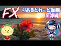 【FXトレーダーの休日】~プライスアクション手法を使ってリアルトレードで分かりやすく解説~【 水平線 】 【デイトレード】
